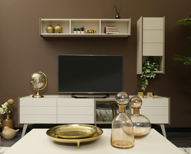 TV